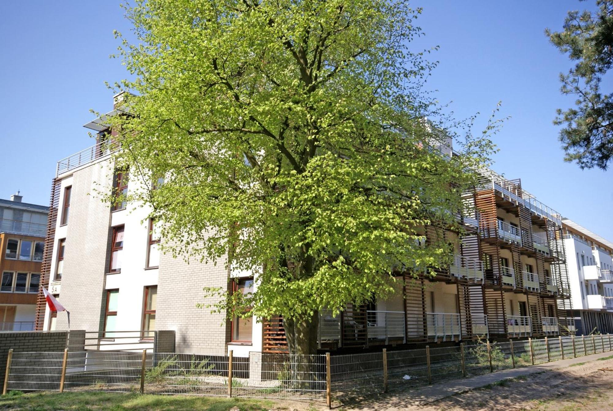 Apartamenty Swinoujscie - Zacisze Lesne Экстерьер фото